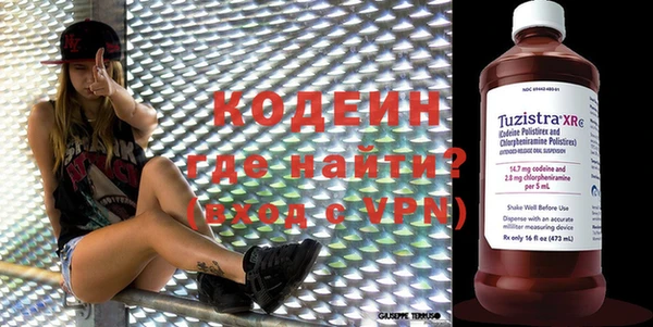 прущие грибы Чегем