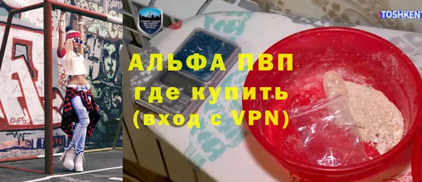 прущие грибы Чекалин